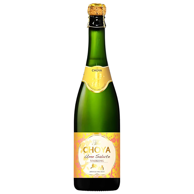 Choya Ume Salute koreanisches Getränk 0,75L 5,5% vol.